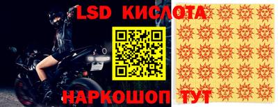 Альфа ПВП Моздок