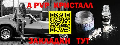 Альфа ПВП Моздок