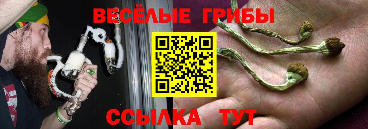 Псилоцибиновые грибы Cubensis  Галлюциногенные грибы ЛСД  Вход с VPN  дарнет шоп  Советская Гавань 
