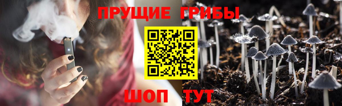 Псилоцибиновые грибы Psilocybine cubensis Советская Гавань